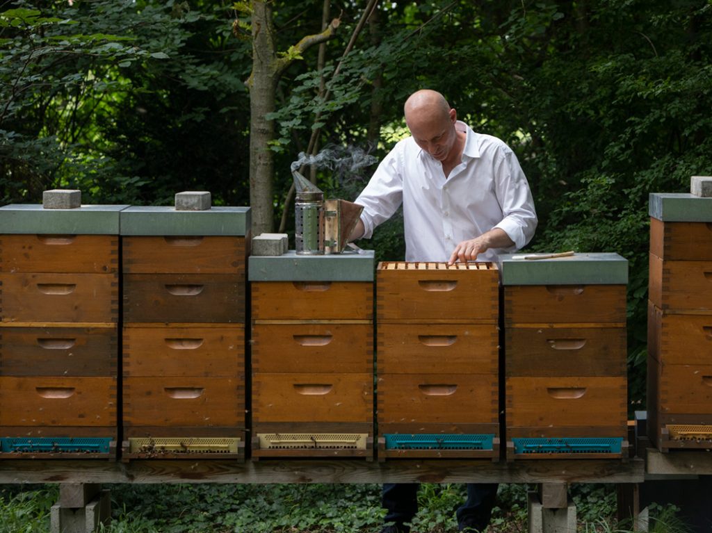 Thomas Zelenka bei der Arbeit an den Bienenstöcken
