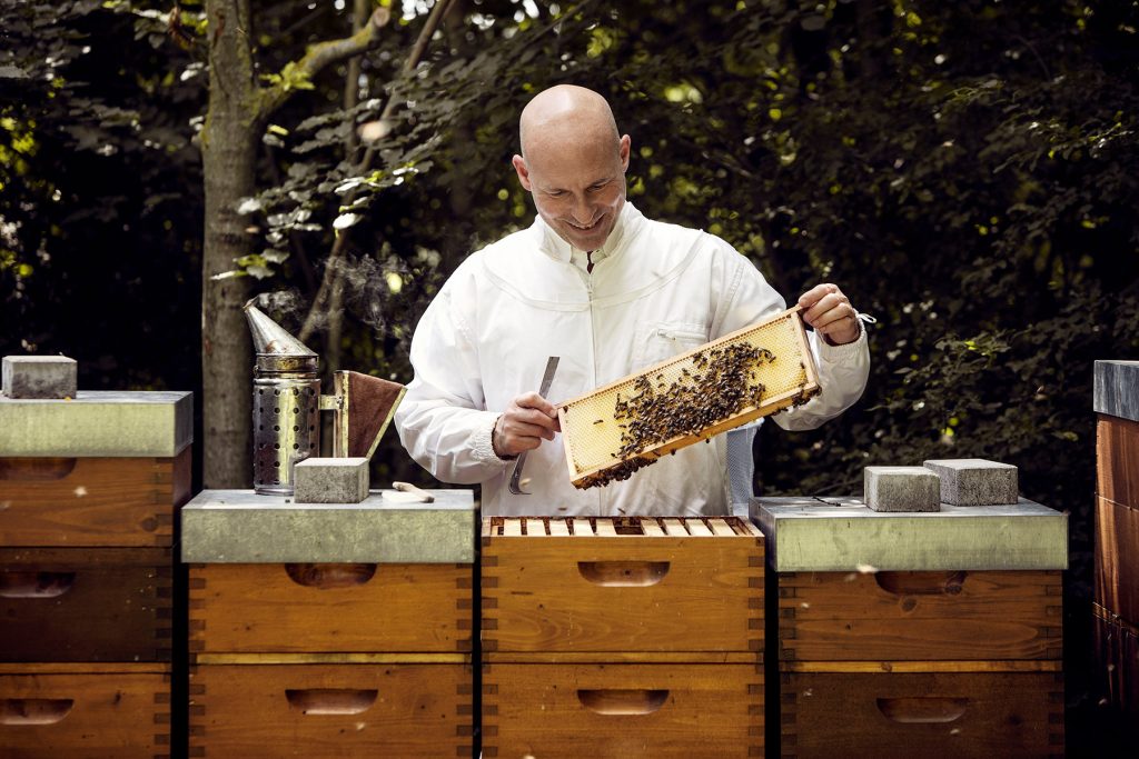 Thomas Zelenka Bienenstöcke