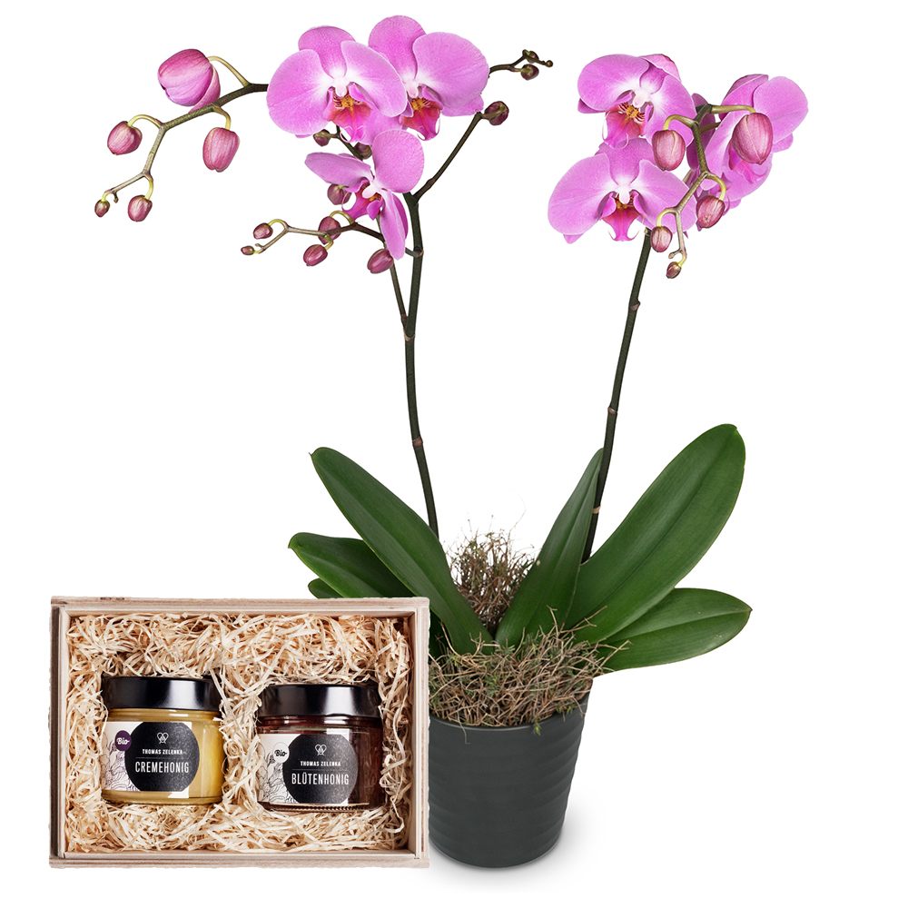 Honig Geschenkbox Fleurop Zelenka