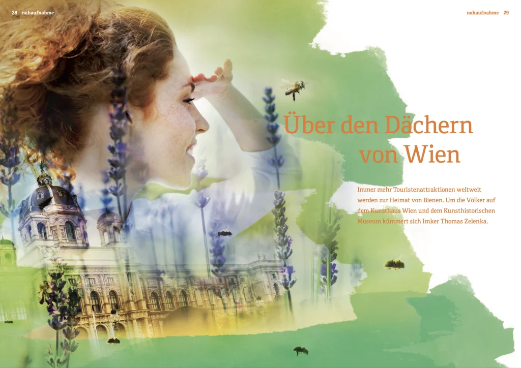 Artikel in Studiosus: Über den Dächern Wiens