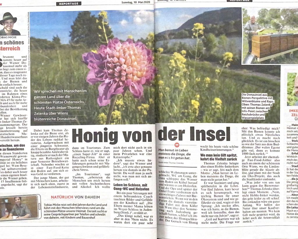 Artikel in Kronenzeitung: Honig von der Insel